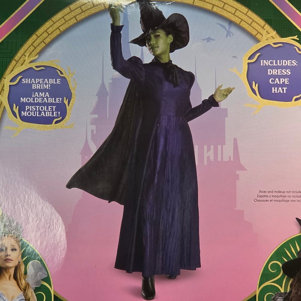 Disguise Wicked Elphaba Deluxe Adult Costume Dress Cape Hat Women's S 4-6